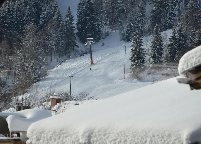 Lejlighed Apartment Diana - By Alpen Apartments